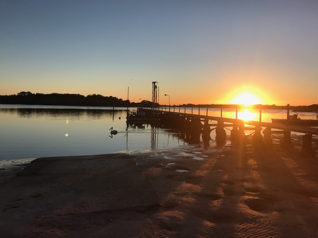 blue dolphin caravan park - yamba