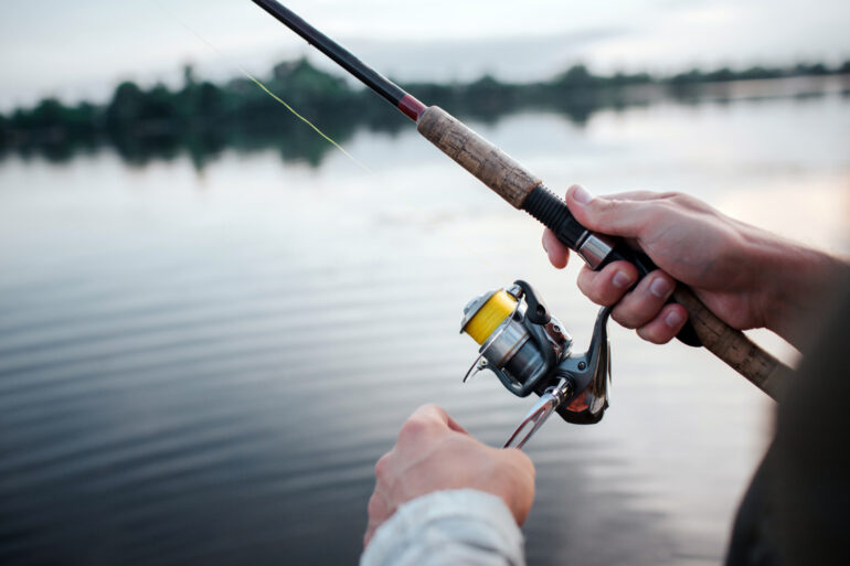 How to Attract Fish to a Pontoon Dock